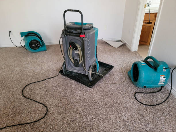 Best 24/7 water damage repair  in Leavittsburg, OH