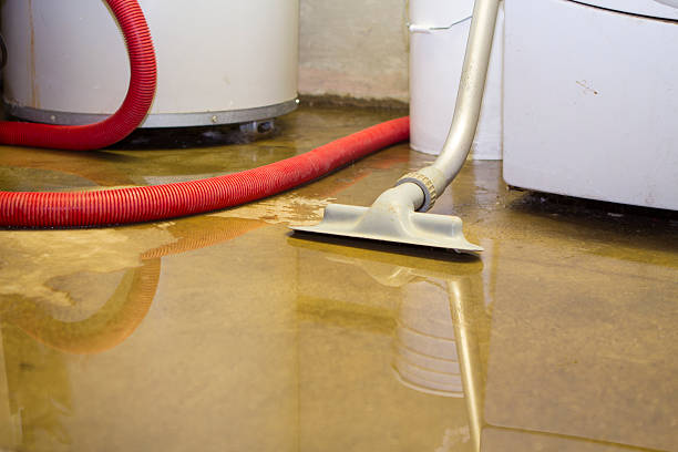Best Commercial water damage restoration  in Leavittsburg, OH