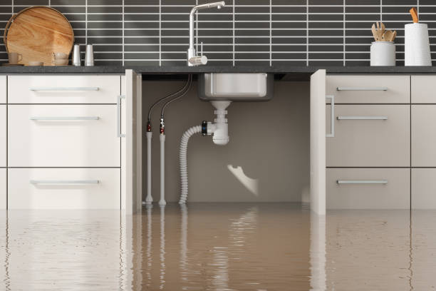 Best Water damage restoration near me  in Leavittsburg, OH